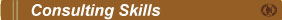 Consulting Skills